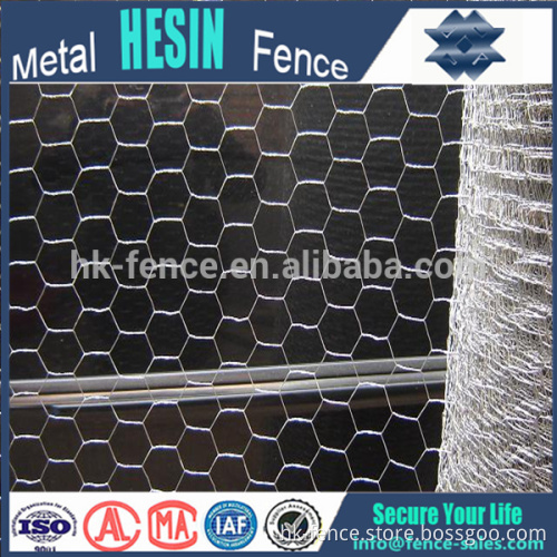 factory supply 60*80 mesh chicken wire galvanized hexagonal wire meshnetting